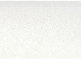 Blanc RAL 9010